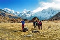 Annapurna Base Camp, Nepal Royalty Free Stock Photo