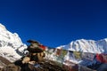 Annapurna base camp nepal Royalty Free Stock Photo