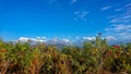 Annapurna Mountain Range Panorama view of Macchapuchre Fish Tail Mountain of Pokhara overlooking Phewa Lake, Nepal Royalty Free Stock Photo