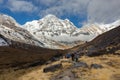 Annapurna, Nepal - November 09, 2018: Tourists going up on the way to Annapurna Base Camp, Himalayas, Nepal. Royalty Free Stock Photo