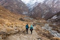 Annapurna region, Nepal - November 10, 2018: Hikers walk the track ABC to Machhapuchhre Base Camp, Himalaya, Nepal Royalty Free Stock Photo