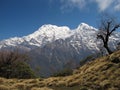 Annapurna South and Hiun Chuli Royalty Free Stock Photo