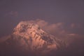 annapurna south in Nepal during afterglow Royalty Free Stock Photo