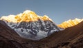 Annapurna south mountain during sunrise golden hour with clear blue sky being hit by first sunshine Royalty Free Stock Photo