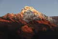 annapurna south in Nepal during morning Royalty Free Stock Photo