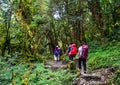 Annapurna trekking trail in Nepal