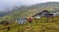 Annapurna Trekking Trail in Nepal