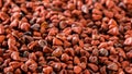 Annatto seed macro close up Royalty Free Stock Photo