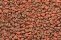 Annatto seeds