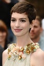 Anne Hathaway Royalty Free Stock Photo
