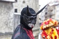 Disguised Person - Annecy Venetian Carnival 2013