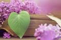 Anniversary card with heart shaped leaf and lilac flowers Royalty Free Stock Photo