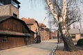 Museum Auschwitz - Holocaust Memorial Museum. Anniversary Concentration Camp Liberation Barbed wire around a concentration camp. Royalty Free Stock Photo