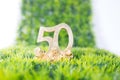 50 anniversary with golden 3d numbers on green grass with white background