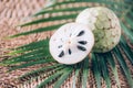 Annona muricata or soursop, graviola and guyabano with palm leaves on rattan background. Copy space. Creative design banner.