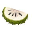 Annona soursop icon cartoon vector. Graviola fruit