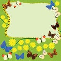 Announcement board set on a flowery twig with butterflies around Royalty Free Stock Photo