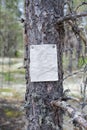 An announcement, a letter, a message on a tree in the forest Royalty Free Stock Photo
