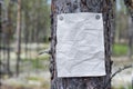 An announcement, a letter, a message on a tree in the forest Royalty Free Stock Photo