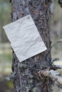 An announcement, a letter, a message on a tree in the forest Royalty Free Stock Photo