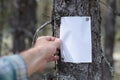 An announcement, a letter, a message on a tree in the forest. Royalty Free Stock Photo