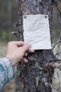 An announcement, a letter, a message on a tree in the forest. Royalty Free Stock Photo