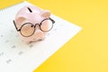 Annual budget allocation, schedule for saving and invest or planning for financial date, smiling pink piggy bank wearing