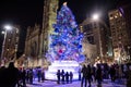 The Annual Christmas Tree at Philadelphia City Center