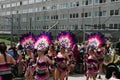 Annual cultural festival in Hammarkullen , Gothenburg, Sweden