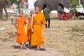 The Annual Elephant Roundup in Surin, Thailand