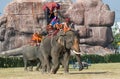 The Annual Elephant Roundup in Surin, Thailand