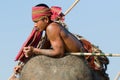 The Annual Elephant Roundup in Surin, Thailand