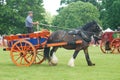 Heavy Horse show at Capel Manor June 2017 Royalty Free Stock Photo