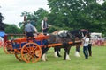 Heavy Horse show at Capel Manor June 2017 Royalty Free Stock Photo