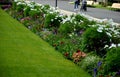 Annual flowerbed in a formal park of rectangles in the lawn. perfect connected flower bed at the pedestrian zone with benches