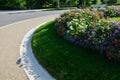 Annual flowerbed in a formal park of rectangles in the lawn. perfect connected flower bed at the pedestrian zone with benches whit