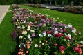 Annual flowerbed in a formal park of rectangles in the lawn. perfect connected flower bed at the pedestrian zone with benches whit