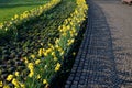 Annual flowerbed in the shape of an arch with purple and white yellow flowers bordered by a low fence of metal gray fittings. land Royalty Free Stock Photo