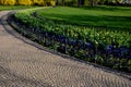 Annual flowerbed with yellow and blue flowers bordered by a low fence of metal gray fittings. landscaping in summer with tulips