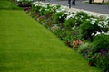 Annual flowerbed in a formal park of rectangles in the lawn. perfect connected flower bed at the pedestrian zone with benches