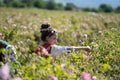 Annual Kazanlak Rose picking Festival in Bulgaria Royalty Free Stock Photo