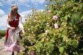 Annual Kazanlak Rose picking Festival in Bulgaria Royalty Free Stock Photo