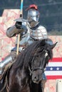 International Jousting Competition Royalty Free Stock Photo