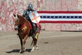 International Jousting Competition Royalty Free Stock Photo