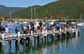 Annual Picton Childrens' Fishing Competition, New Zealand