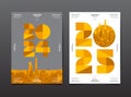 Annual Report, template layout design 2024, 2025, typography, flat design