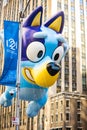 Annual Thanksgiving Macys parade with inflated Bluey character Royalty Free Stock Photo