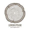 Annual tree growth rings logo icon Royalty Free Stock Photo