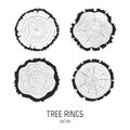 Annual tree rings set.
