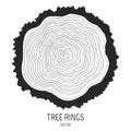 Annual tree rings.